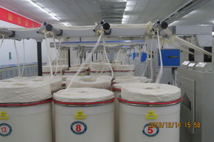 漢麻產(chǎn)業(yè)化關(guān)鍵技術(shù)及應(yīng)用推廣活動(dòng)成功舉行，助力產(chǎn)業(yè)高質(zhì)量發(fā)展