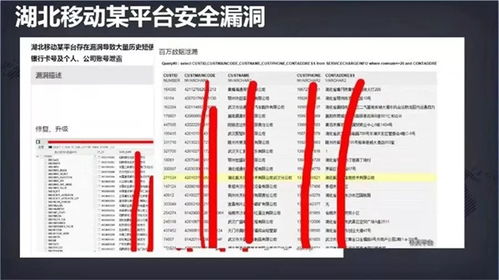 守護(hù)數(shù)字身份 網(wǎng)絡(luò)安全周下，應(yīng)對個(gè)人信息泄露與安全軟件的選擇之道